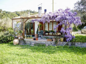 Casa Violet - Goelba Portoferraio
